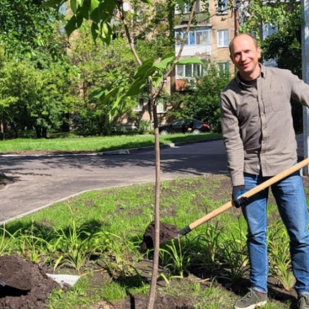 У сквері біля «Берестейської» висадили алею катальп