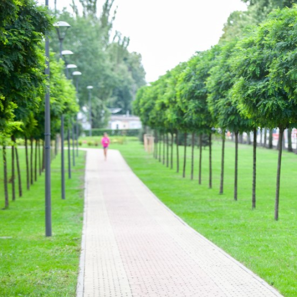 На Дарниці замість паркувального майданчика облаштують новий сквер