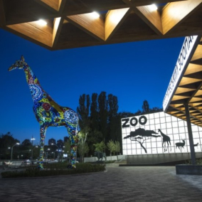Під час реконструкції Київського зоопарку вкрали 2 млн гривень