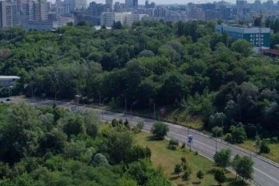 ГО "Захистомо Протасів Яр" запросили на зустріч із забудовником
