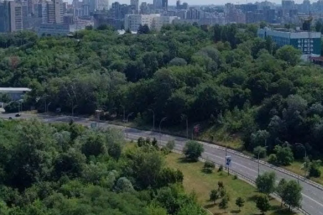 Київрада планує викупити землі заповідника "Протасів яр": з якою метою