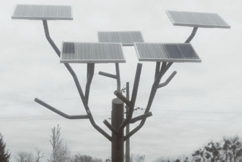 В Черкасской области установили &laquo;солнечное дерево&raquo;, которое заряжает гаджеты