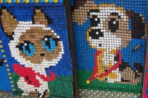 Подружжя з Чернігівщини створює на паркані картини з пластикових кришечок