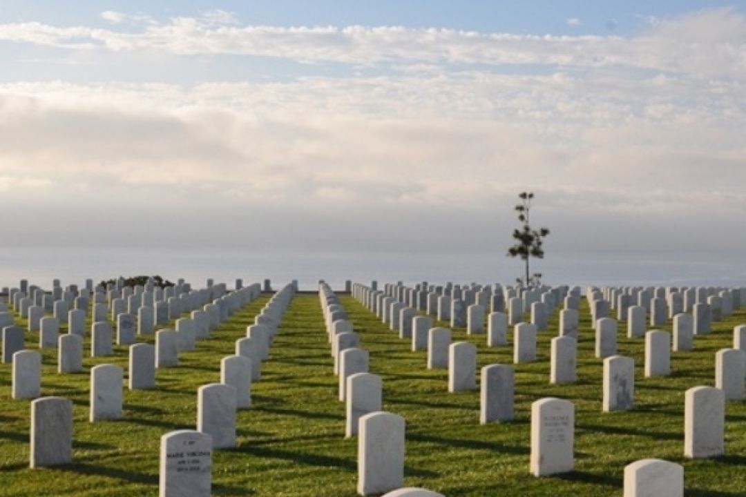 Під Києвом побудують нове кладовище: з колумбарієм, каплицею і кафе