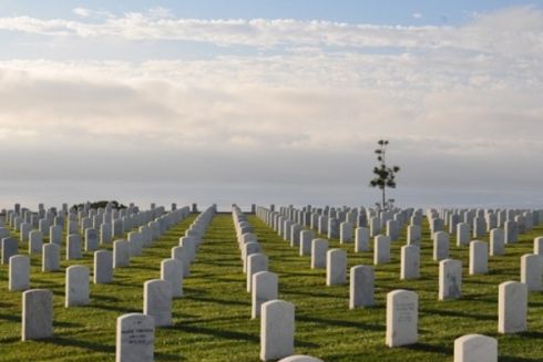 Під Києвом побудують нове кладовище: з колумбарієм, каплицею і кафе