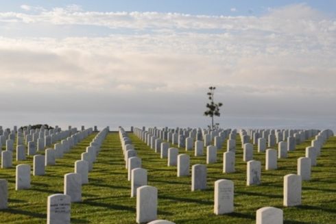 Будувати Національне військове кладовище у Гатному не можна через високий рівень ґрунтових вод – екологи