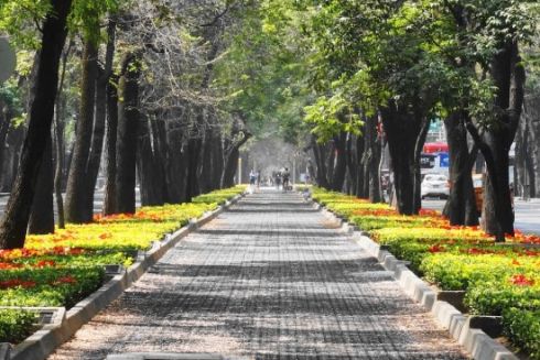 В Подольском районе появится новая пешеходная аллея