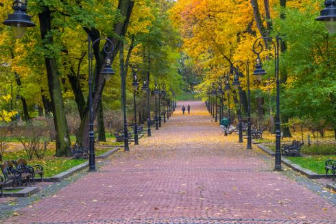 В центре Львова хотят установить деревянные компостные туалеты