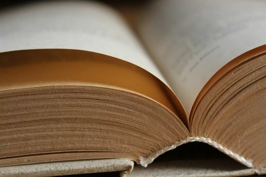Amazon скуповує та знищує рідкісні книжки для навчання ШІ &mdash; розслідування