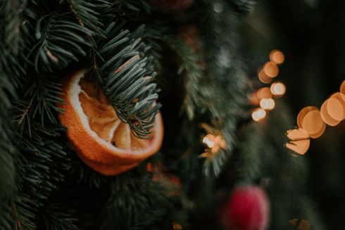 З 1 грудня на Київщині почнуть продавати новорічні ялинки