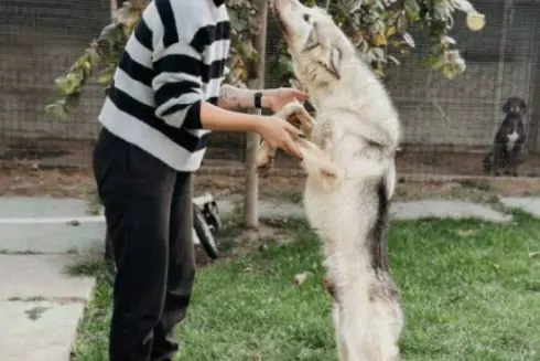 Найцікавіше за тиждень: Як зооволонтерка Анастасія Тиха доглядає за тваринами з інвалідністю та 7 книжок грудня