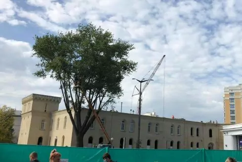 На &laquo;Арсенальній&raquo; зрубали 11 дерев для облаштування пішохідної зони