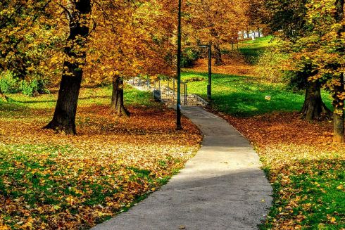 Між проспектами Свободи та Правди облаштують пішохідну алею