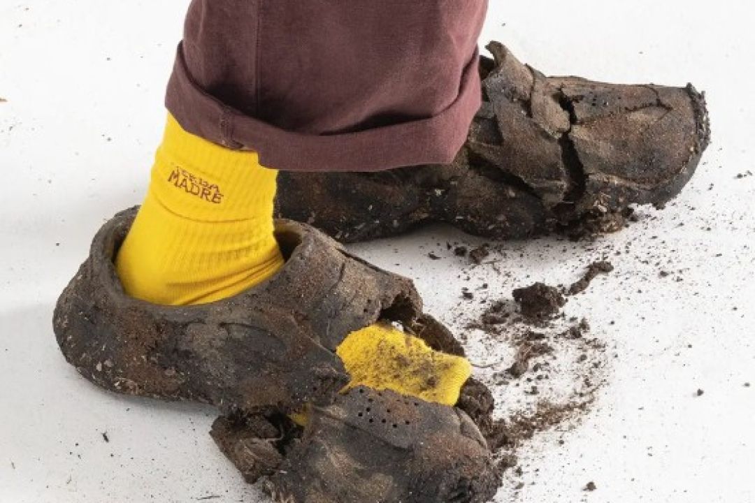 У США створили взуття, яке розсипається під час ходьби і засіває землю квітами