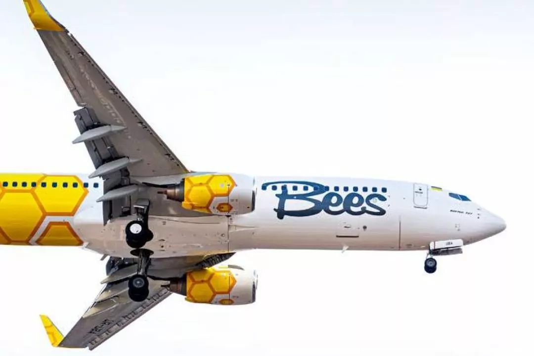 Куди ще літатиме новий український лоукостер Bees Airline: оголосили 29 напрямків