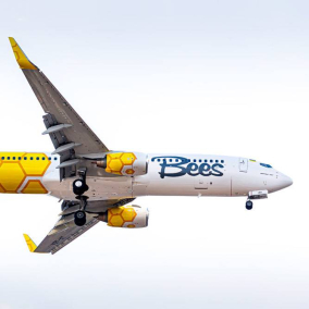Лоукостер Bees Airline открыл продажу билетов на авиарейсы в Грузию и Армению