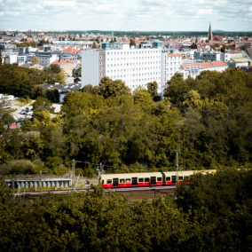 Берлін висадить мільйон дерев до 2040 року