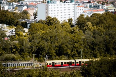 Берлін висадить мільйон дерев до 2040 року