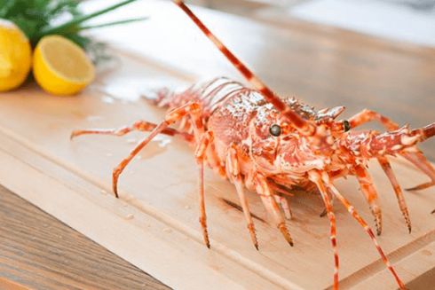 На Печерске открылся ресторан греческой сети Kritikos