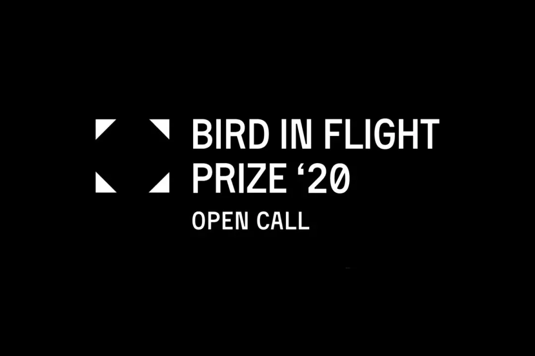 Bird in Flight Prize запустив прийом фоторобіт на конкурс 2020 року