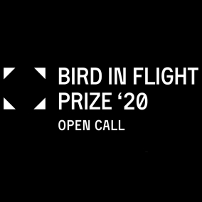 Bird in Flight Prize запустил прием фоторабот на конкурс 2020 года
