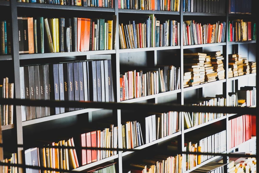 Петиція про обмеження російськомовних книг зібрала підписи — її розгляне уряд