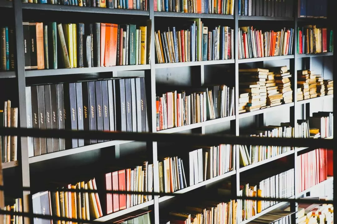Петиція про обмеження російськомовних книг зібрала підписи &mdash; її розгляне уряд