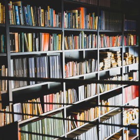Петиція про обмеження російськомовних книг зібрала підписи — її розгляне уряд