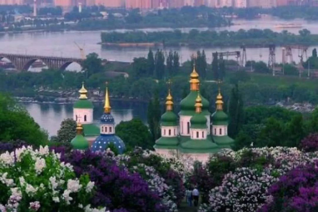 Територію ботсаду Гришка хочуть забудувати. Що відбувається