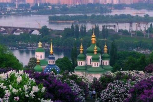 Територію ботсаду Гришка хочуть забудувати. Що відбувається