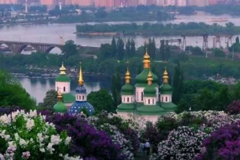 Територію ботсаду Гришка хочуть забудувати. Що відбувається