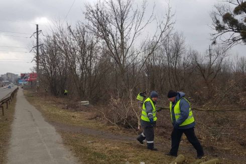 Фото: в Буче начали озеленение улицы Вокзальной, где находились российские танки