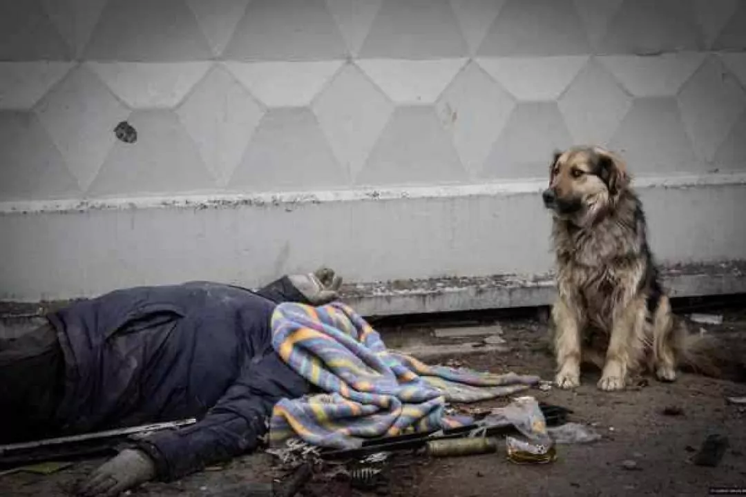 Головну премію Czech Press Photo 2022 отримав знімок з Бучі
