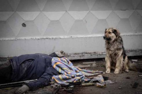 Головну премію Czech Press Photo 2022 отримав знімок з Бучі