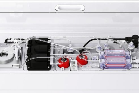 Австралійський стартап створив перший у світі біокомп’ютер на основі людських нейронів