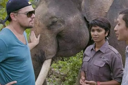 Кино на БЖ: 11 документальных фильмов об экологии и природе