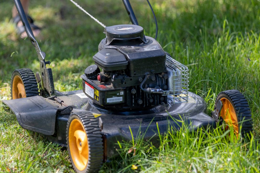 Київ не може повністю відмовитися від скошення трави: чому