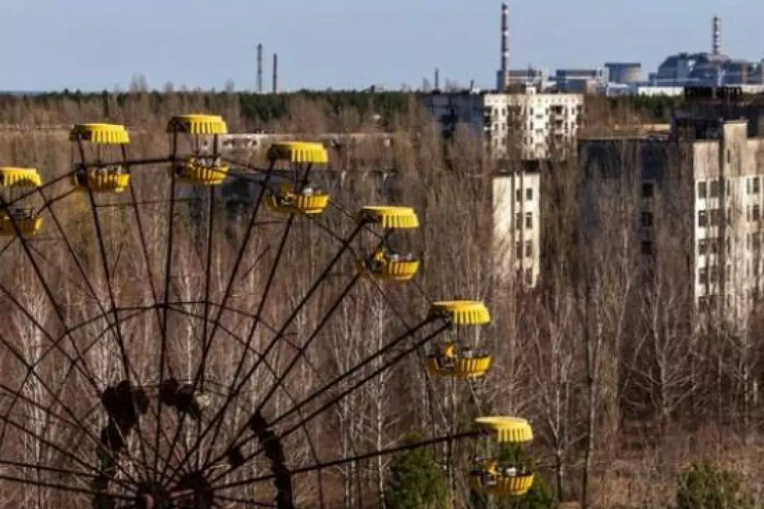 У Чорнобилі знайдено черв&rsquo;яків, стійких до радіації: вони допоможуть у лікуванні раку