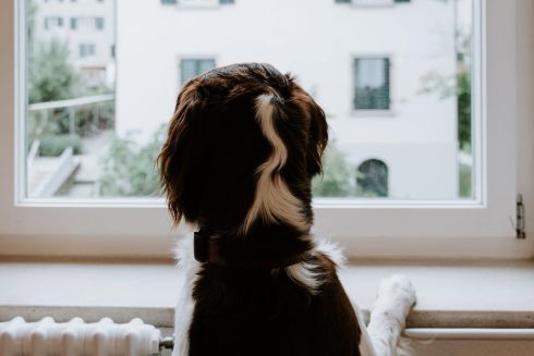 Киевская область готова к отопительному сезону на 83%