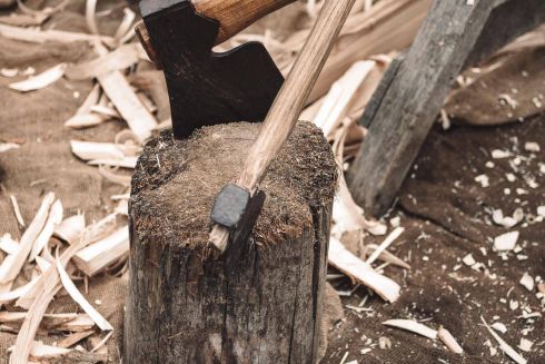 На «Святошине» уничтожили вековые дубы ради строительства ЖК