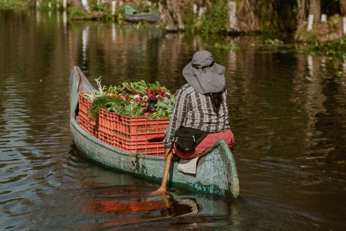 Не викидай, з'їж: ресторан без відходів із зіркою Мішлен