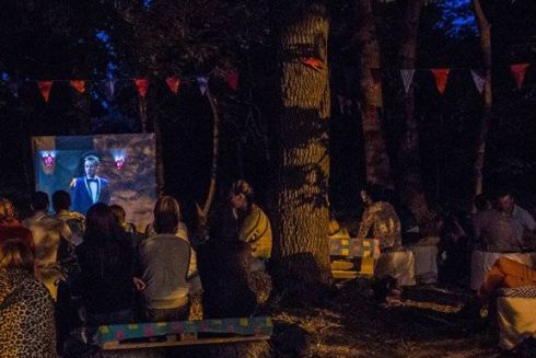 На Владимирской горке появится кинотеатр под открытым небом