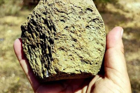 На Закарпатті знайшли найбільш ранні свідчення життя людини на континенті