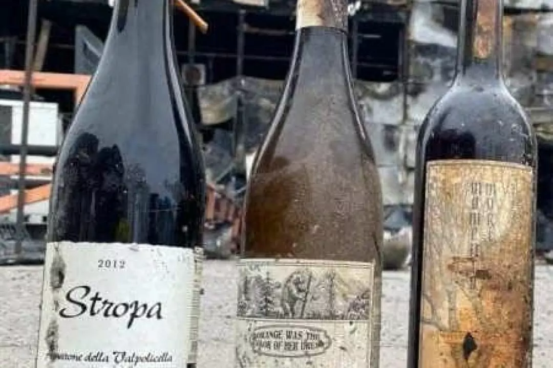 Сеть GoodWine показала фото своего разрушенного склада в Киевской области