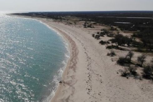 Пожежі на окупованому Джарилгачі знищили екосистему заповідної зони острова