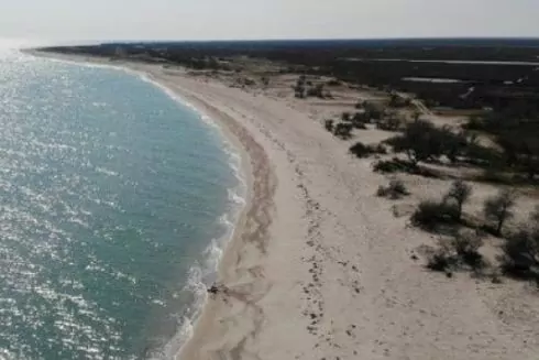 Пожары на оккупированном Джарилгаче уничтожили экосистему заповедной зоны острова