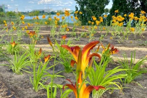 Біля озера Вирлиця демонтували незаконну споруду й облаштували на її місці клумбу