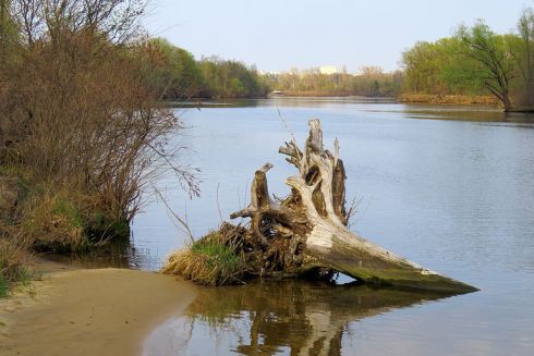 Суд наказав знести незаконні споруди в заказнику "Деснянські луки"