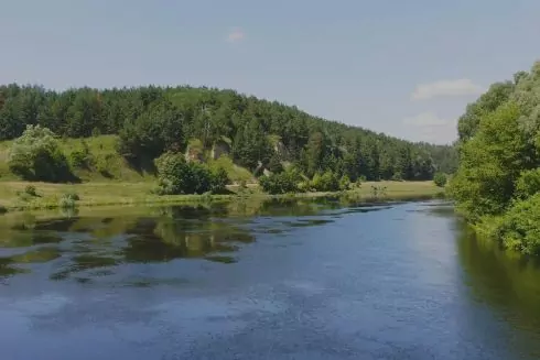 Государству вернули земельные участки у реки Десна стоимостью 29 миллионов через суд