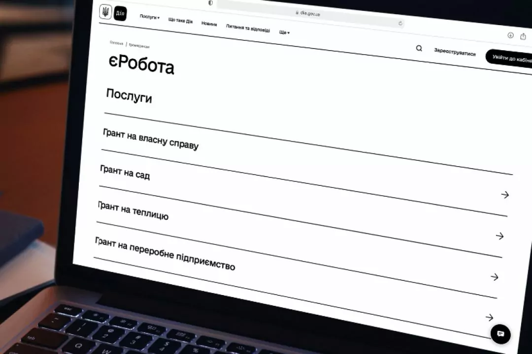 По программе &laquo;еРабота&raquo; в этом году планируют выдать более 7000 микрогрантов для развития бизнеса